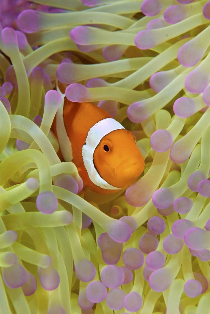 Similar wall art painting: 134233