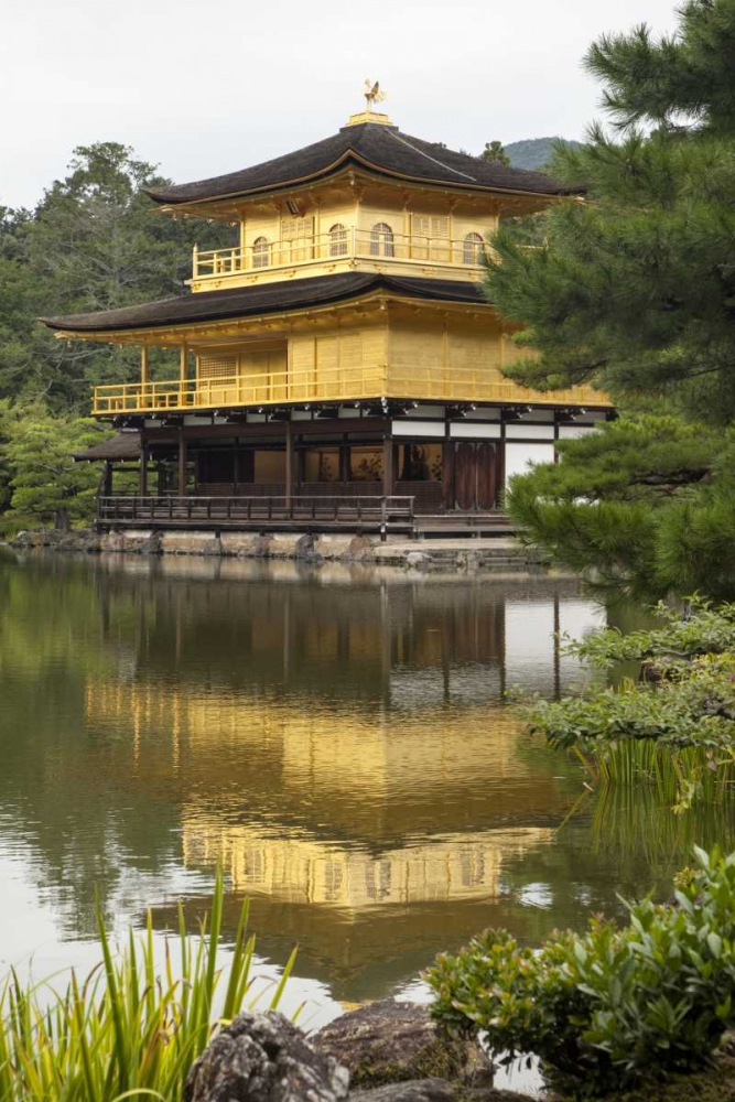 Wall Art Painting id:127551, Name: Japan, Kyoto Temple of the Golden Pavilion, Artist: Flaherty, Dennis