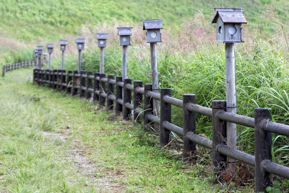 Wall Art Painting id:127504, Name: Japan, Nara Soni Plateau Wooden lanterns, Artist: Flaherty, Dennis