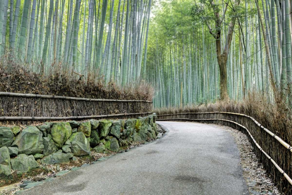 Wall Art Painting id:127392, Name: Japan, Kyoto Arashiyama Bamboo Grove, Artist: Flaherty, Dennis