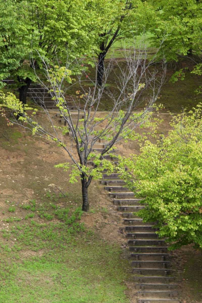 Wall Art Painting id:127543, Name: Asia, Japan, Heguri-cho Stairway in a park, Artist: Flaherty, Dennis