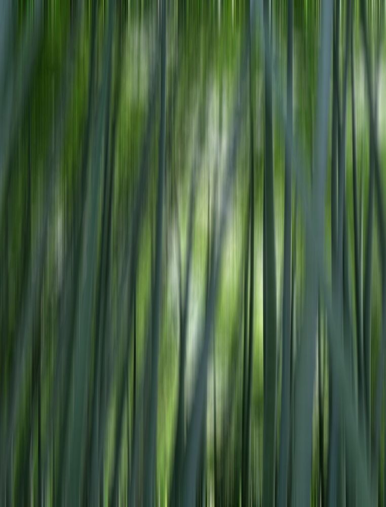 Wall Art Painting id:399168, Name: Japan-Kyoto Abstract of Arashiyama Bamboo Grove, Artist: Jaynes Gallery