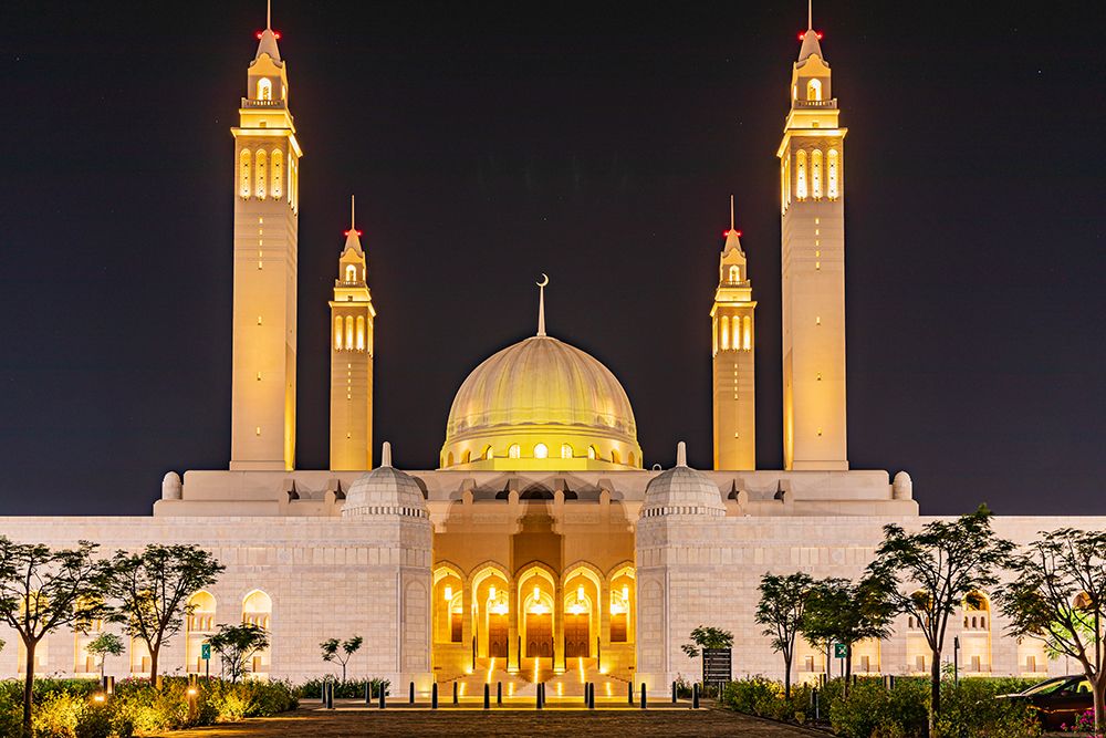 Wall Art Painting id:517649, Name: Middle East-Arabian Peninsula-Oman-Ad Dakhiliyah-Nizwa-Night view of the Sultan Qaboos Grand Mosque, Artist: Wilson, Emily