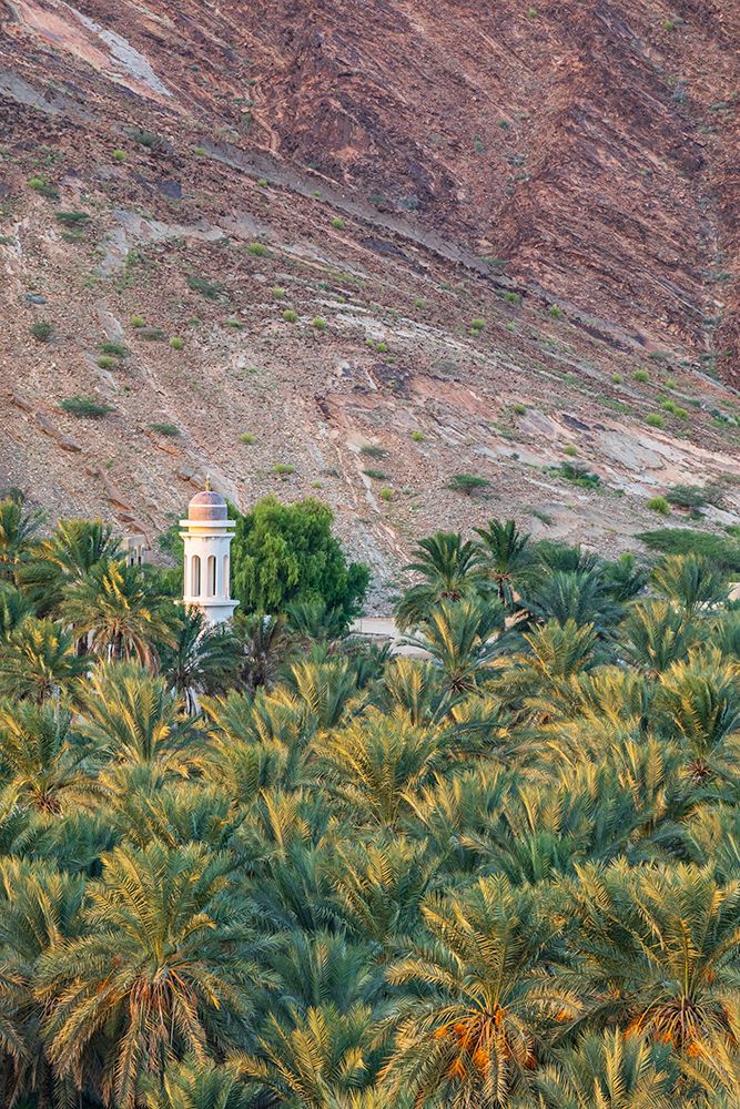 Wall Art Painting id:517660, Name: Middle East-Arabian Peninsula-Oman-Ad Dakhiliyah-Nizwa, Artist: Wilson, Emily