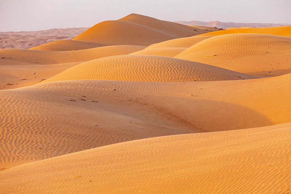 Wall Art Painting id:517663, Name: Middle East-Arabian Peninsula-Ash Sharqiyah North-Bidiyah-Sand dunes in the desert of Oman, Artist: Wilson, Emily