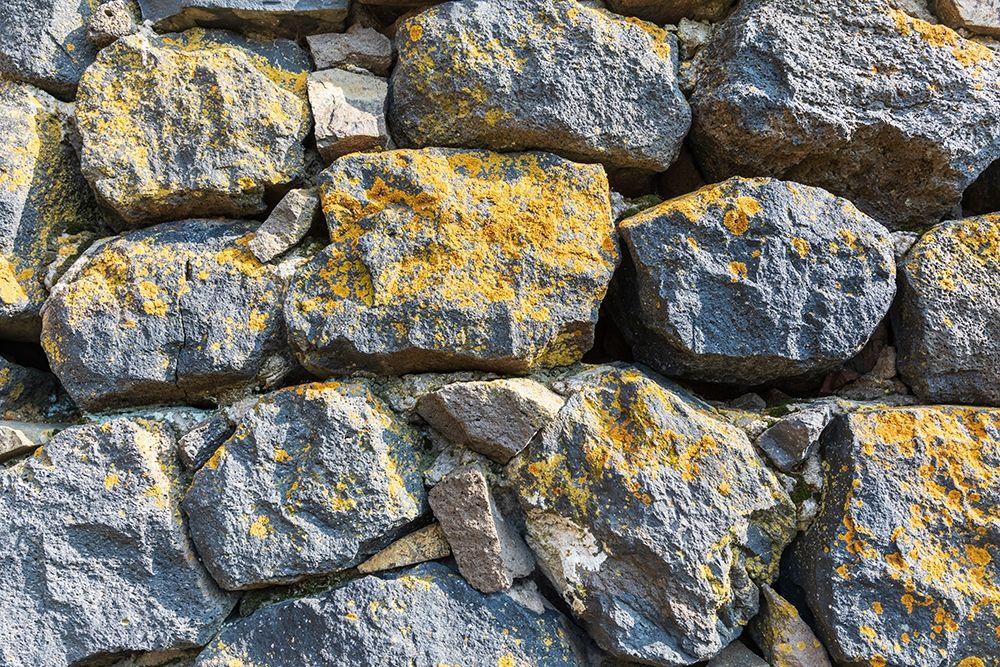 Similar wall art painting: 399409