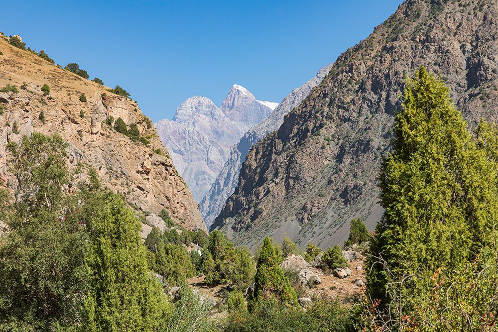 Wall Art Painting id:512372, Name: Sarytag-Sughd Province-Tajikistan Canyon and high mountains in Tajikistan, Artist: Wilson, Emily