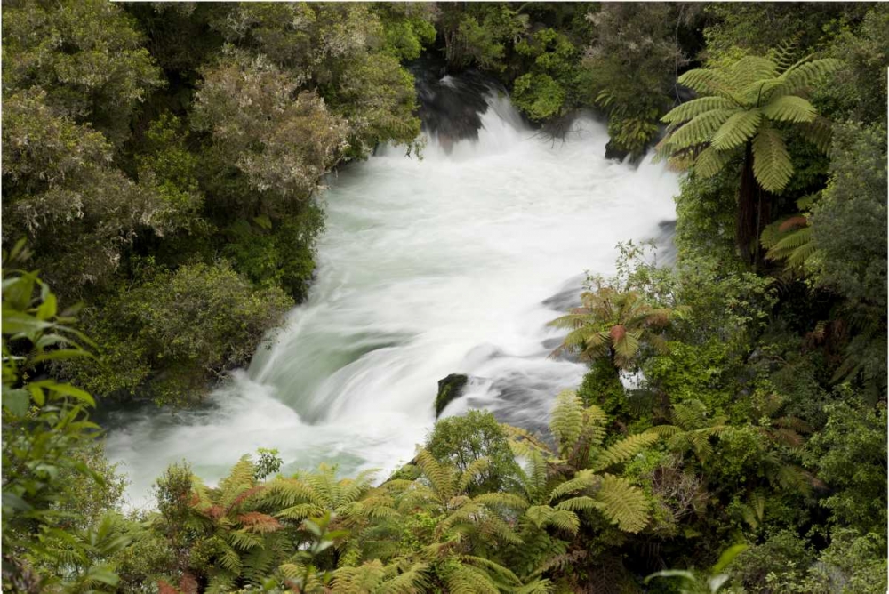 Wall Art Painting id:128247, Name: New Zealand, Okere Falls on the Kaituna River, Artist: Grall, Don