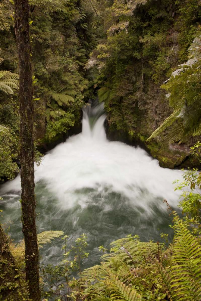 Wall Art Painting id:128438, Name: New Zealand The Kaituna river over Tuteas Falls, Artist: Grall, Don