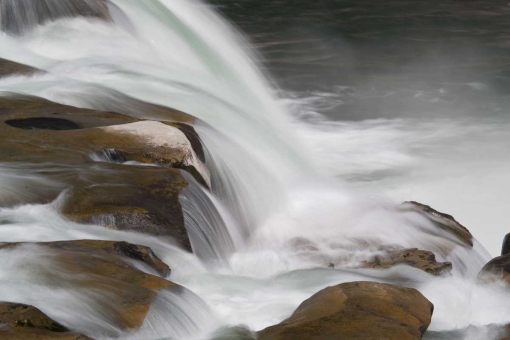 Wall Art Painting id:128133, Name: New Zealand, South Island Maruia Falls, Artist: Grall, Don