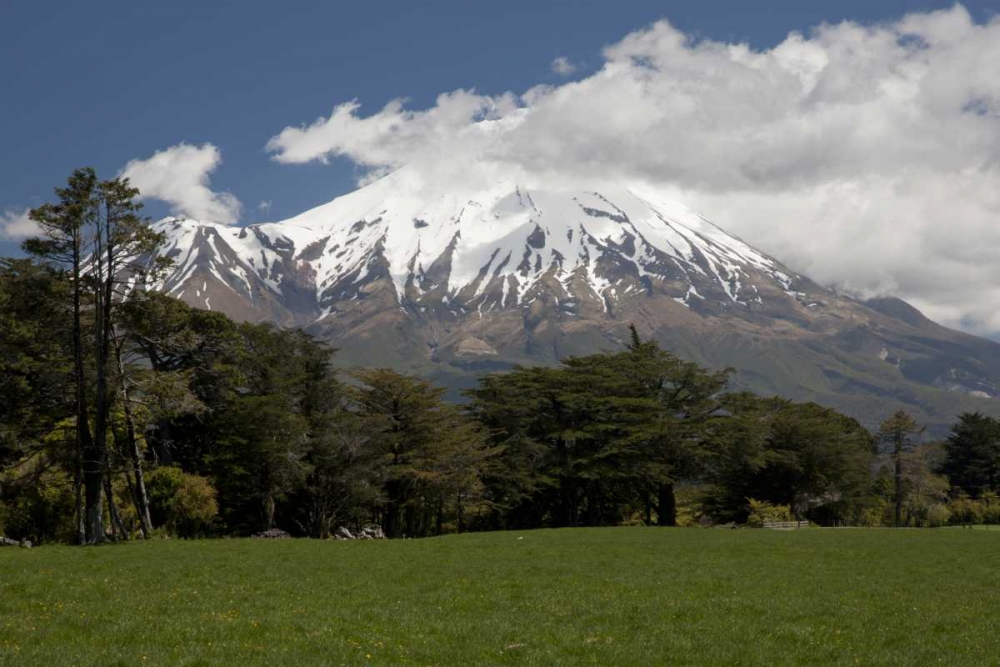 Wall Art Painting id:128380, Name: New Zealand, North Island Volcanic Mt Taranaki, Artist: Grall, Don