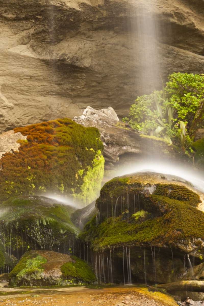 Art Print: New Zealand, Paparoa NP Waterfall striking rocks