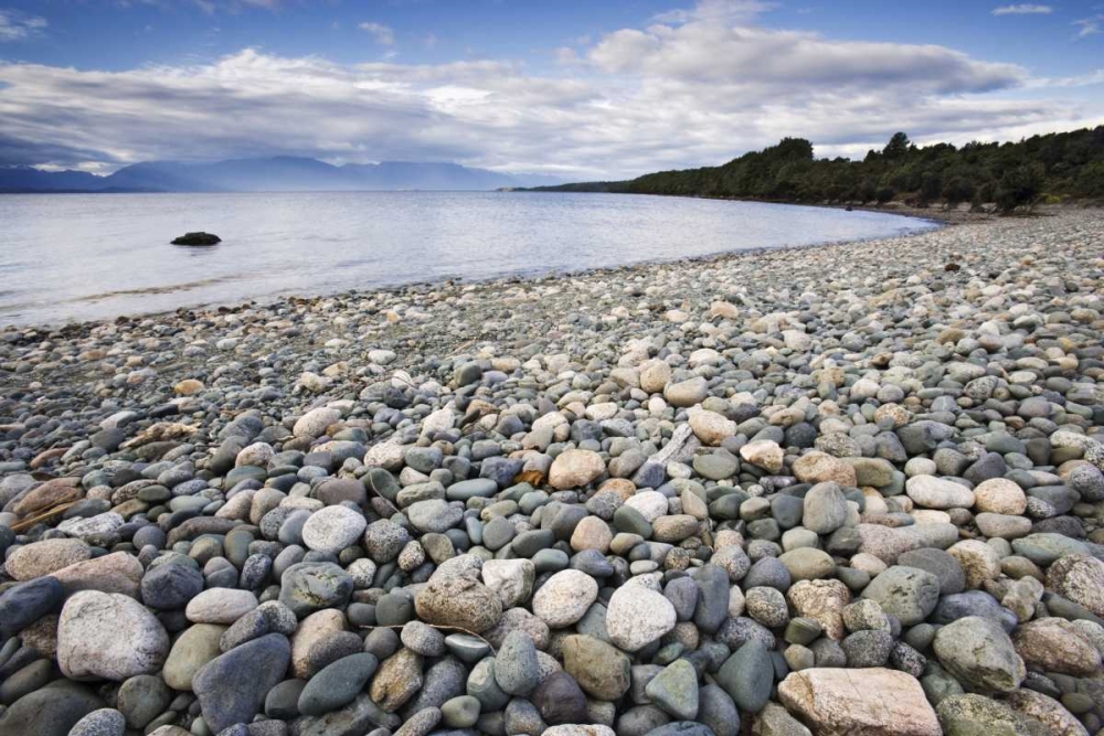 Wall Art Painting id:127418, Name: New Zealand, South Island Lake TeAnua, Artist: Flaherty, Dennis