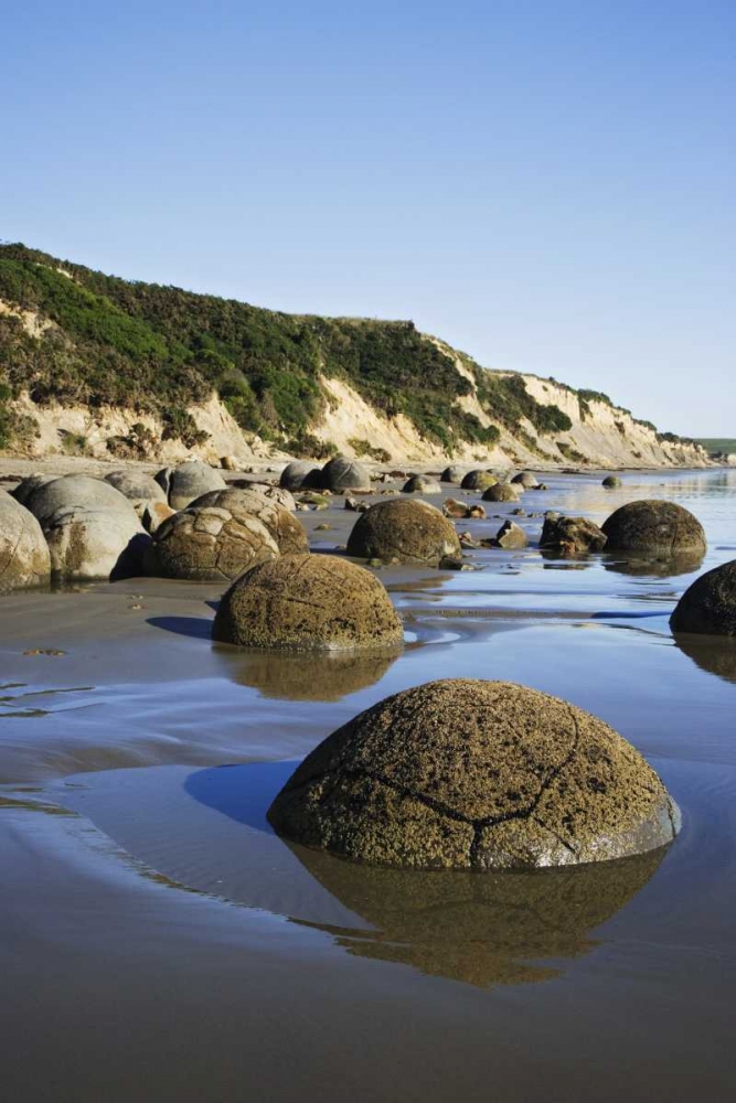 Wall Art Painting id:127555, Name: New Zealand, South Island Moeraki Boulders, Artist: Flaherty, Dennis