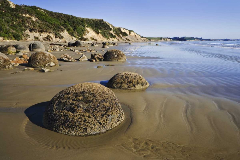 Wall Art Painting id:127556, Name: New Zealand, South Island Moeraki Boulders, Artist: Flaherty, Dennis