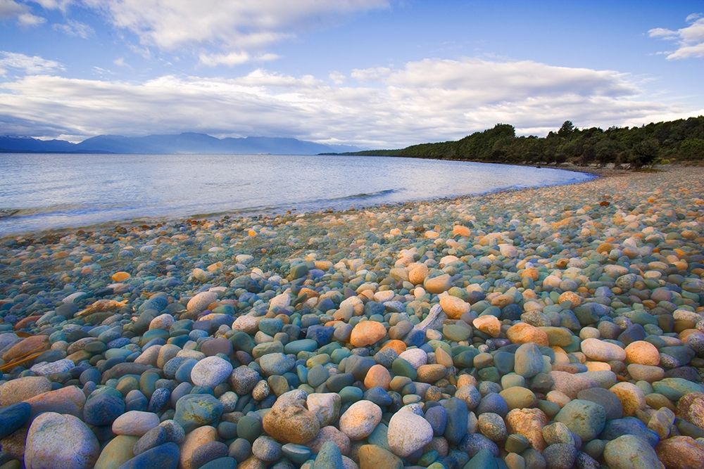 Wall Art Painting id:399422, Name: South Island Rocky shore of Lake Te Anau, Artist: Jaynes Gallery