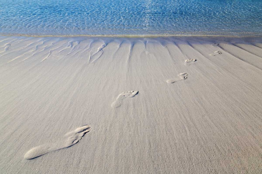 Wall Art Painting id:131838, Name: Bahamas, Exuma Island Sand footprints, Artist: Paulson, Don