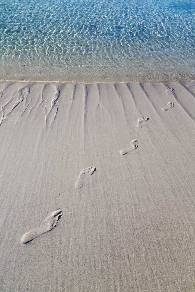 Wall Art Painting id:131839, Name: Bahamas, Exuma Island Sand footprints, Artist: Paulson, Don