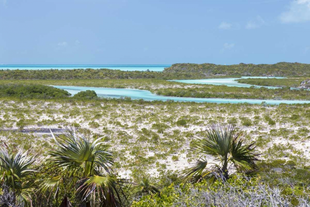 Wall Art Painting id:131946, Name: Bahamas, Exuma Island Shroud Cay scenic, Artist: Paulson, Don