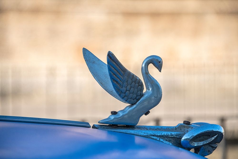 Wall Art Painting id:399474, Name: Close-up of a swan hood ornament on a classic blue American car in Vieja-old Habana-Havana-Cuba, Artist: Miglavs, Janis