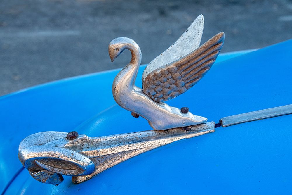 Wall Art Painting id:399475, Name: Close-up a swan hood ornament on a classic blue American car in Vieja-old Habana-Havana-Cuba, Artist: Miglavs, Janis