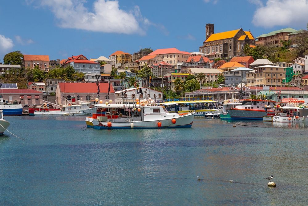 Wall Art Painting id:399502, Name: Caribbean-Grenada-St Georges Boats in The Carenage harbor, Artist: Jaynes Gallery