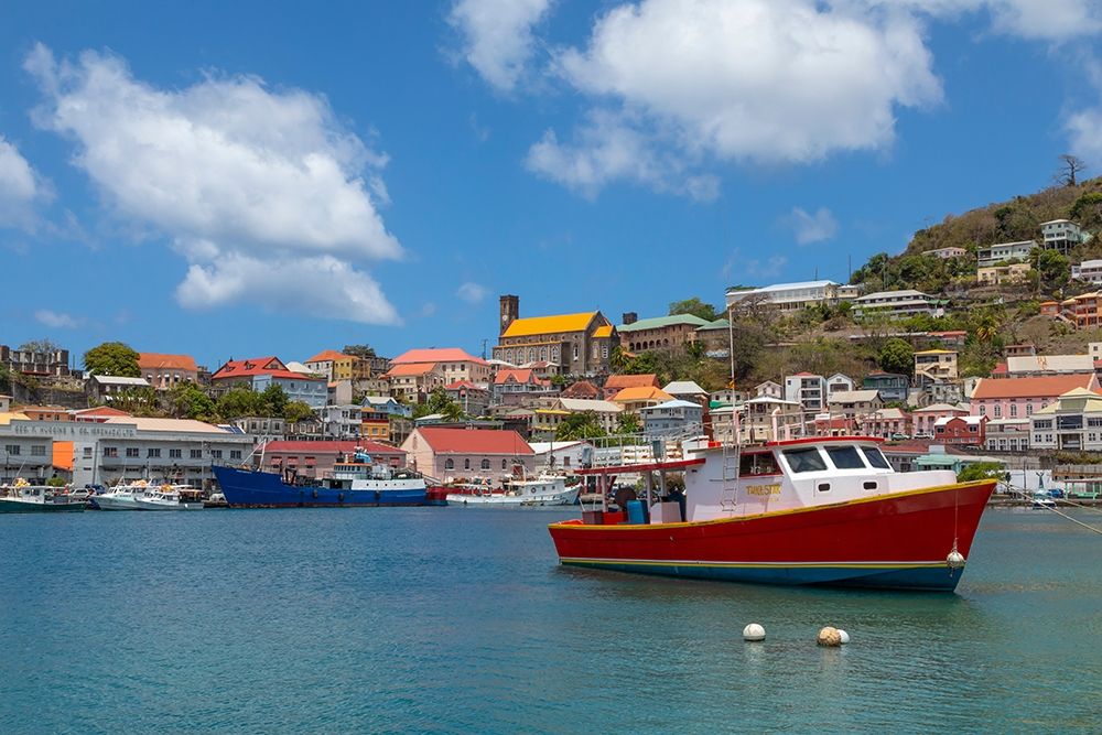Wall Art Painting id:399503, Name: Caribbean-Grenada-St Georges Boats in The Carenage harbor, Artist: Jaynes Gallery