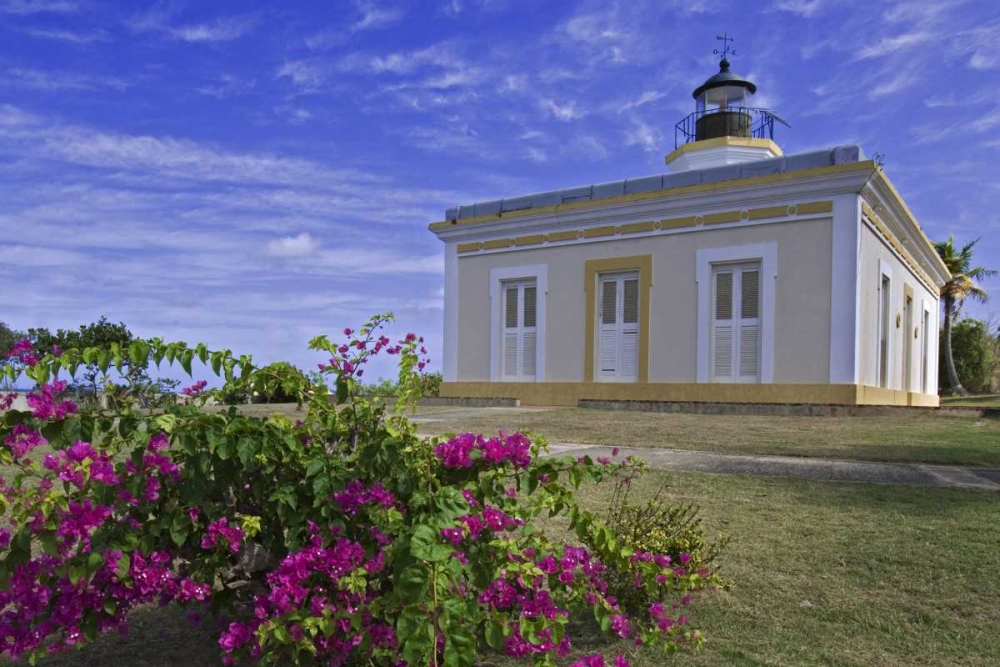 Wall Art Painting id:127469, Name: Puerto Rico Faro Punta Mulas lighthouse, Artist: Flaherty, Dennis