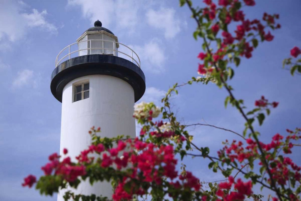 Wall Art Painting id:127903, Name: Puerto Rico, Viegues Island Coastal lighthouse, Artist: Flaherty, Dennis