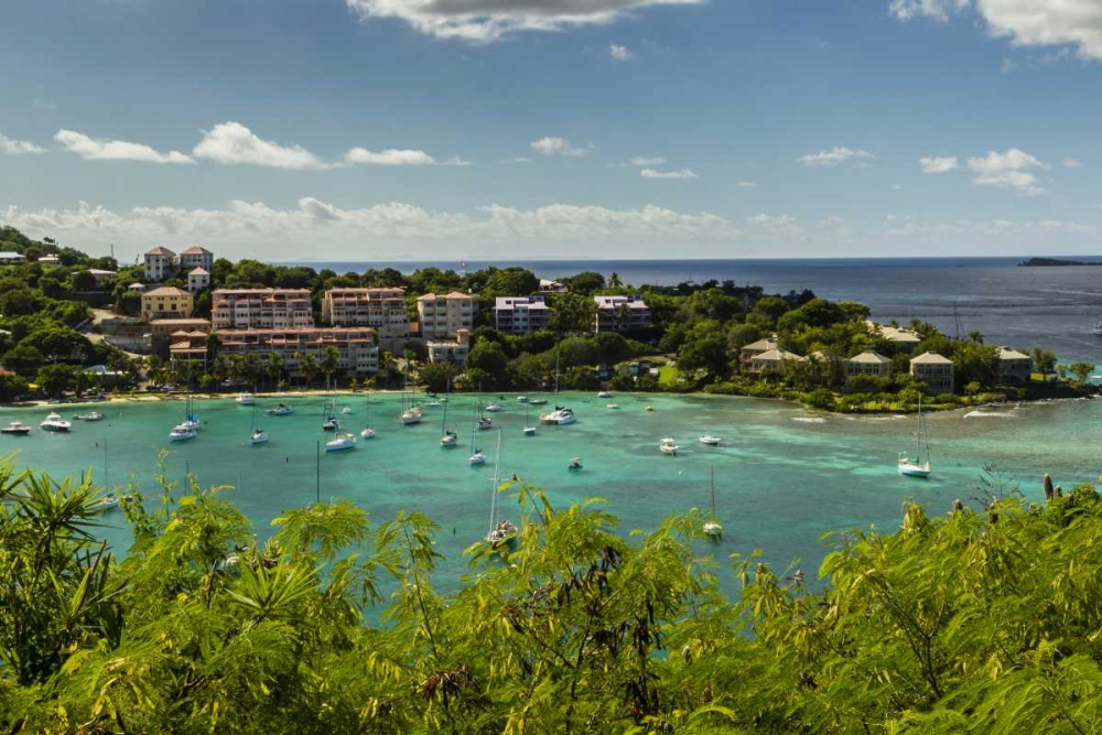 Wall Art Painting id:129780, Name: Caribbean, USA Virgin Islands, St John Cruz Bay, Artist: Illg, Cathy and Gordon