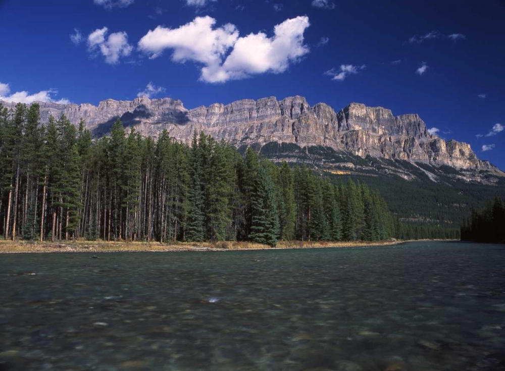 Wall Art Painting id:128486, Name: Canada, Alberta, Bow valley in Banff NP, Artist: Grandmaison, Mike