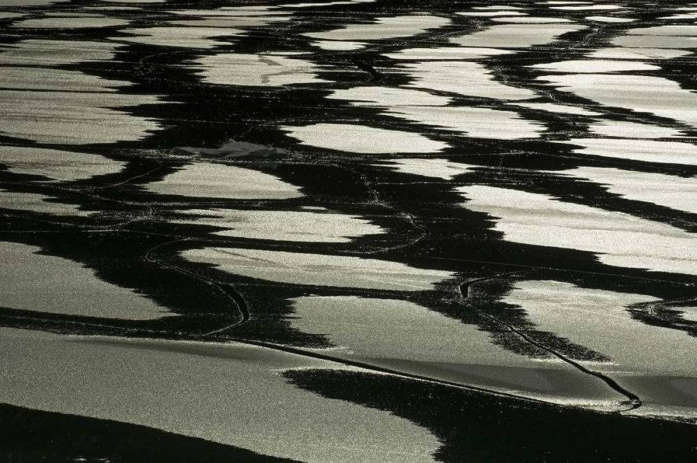 Wall Art Painting id:128549, Name: Canada, Jasper NP Pattern of water on ice, Artist: Grandmaison, Mike
