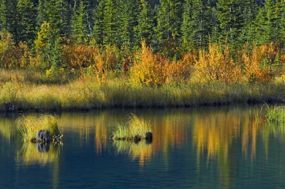 Wall Art Painting id:128527, Name: Canada, Banff NP Vermillion Lake in fall, Artist: Grandmaison, Mike