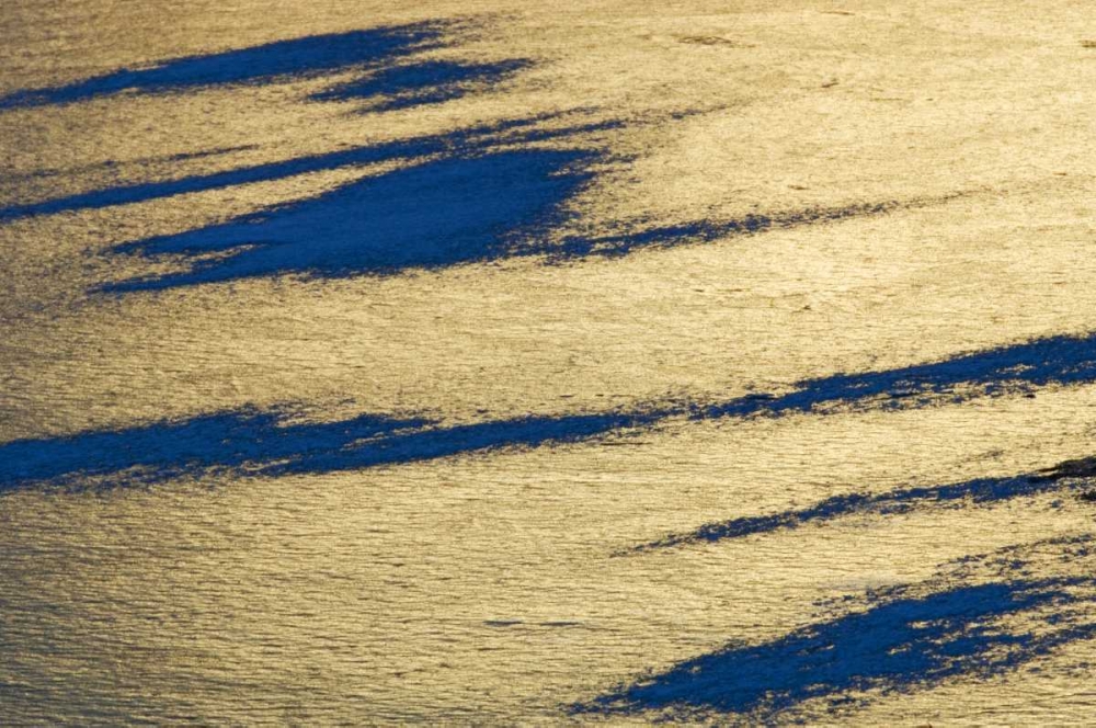 Wall Art Painting id:128719, Name: Canada, Banff NP Ice pattern on Vermillion Lake, Artist: Grandmaison, Mike