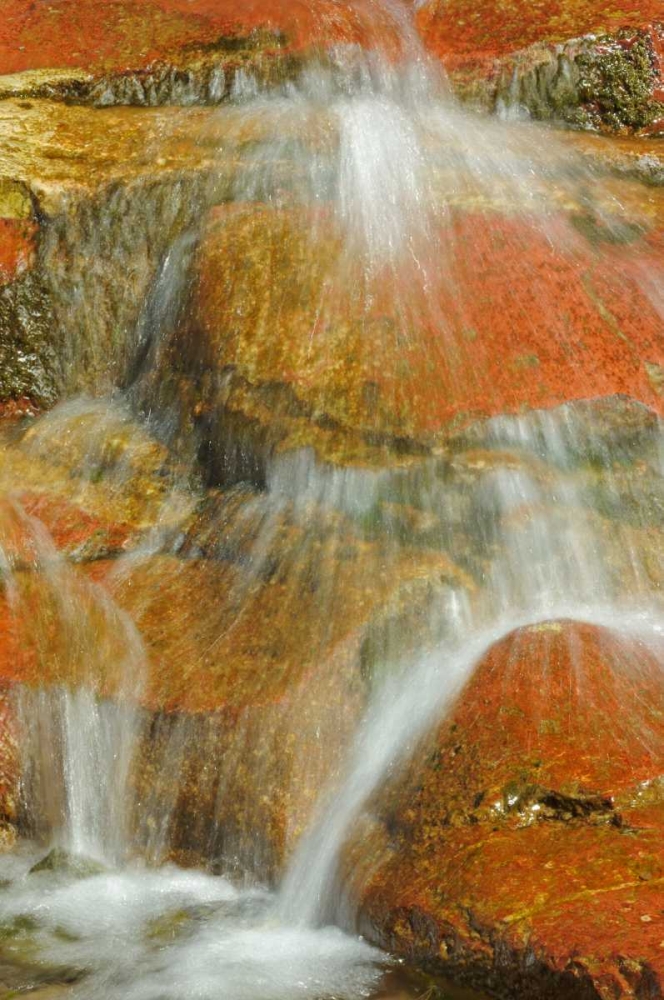 Wall Art Painting id:128552, Name: Canada, Alberta, Stream in Red Rock Canyon, Artist: Grandmaison, Mike