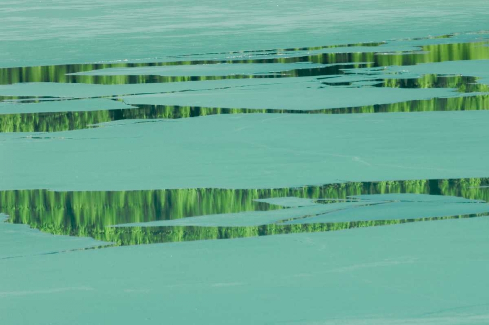 Wall Art Painting id:128678, Name: Canada, Banff NP Ice pattern on Waterfowl Lake, Artist: Grandmaison, Mike