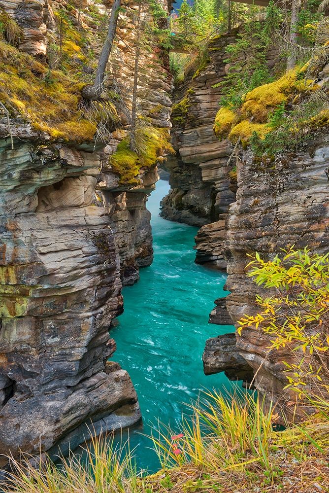 Wall Art Painting id:399636, Name: Canada-Alberta-Jasper National Park Athabasca River at Athabasca Falls, Artist: Jaynes Gallery