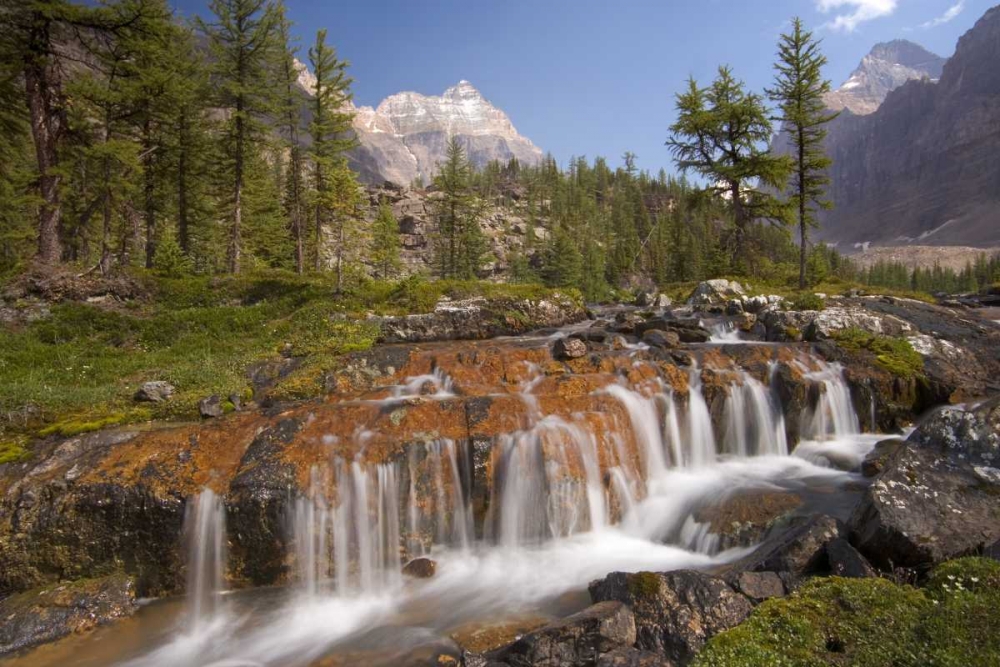 Wall Art Painting id:133186, Name: Canada, BC, Yoho NP, Opabin Terrace Waterfall, Artist: Paulson, Don