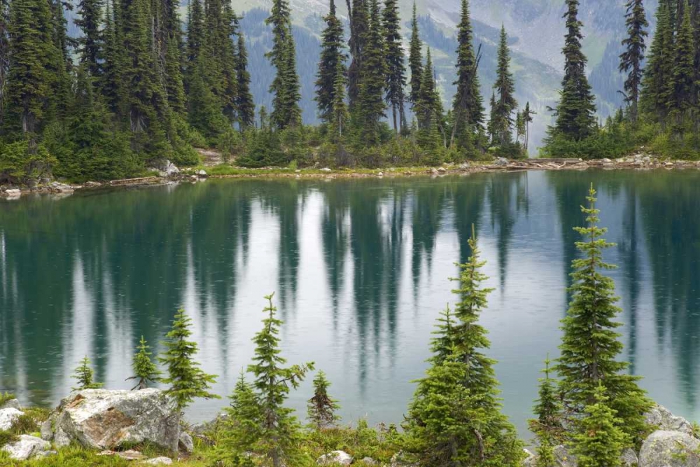 Wall Art Painting id:132891, Name: Canada, BC, Revelstoke NP Rain dots Lake Eva, Artist: Paulson, Don