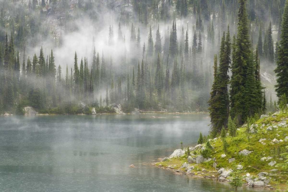 Wall Art Painting id:132374, Name: Canada, BC, Revelstoke NP Fog on Lake Eva, Artist: Paulson, Don