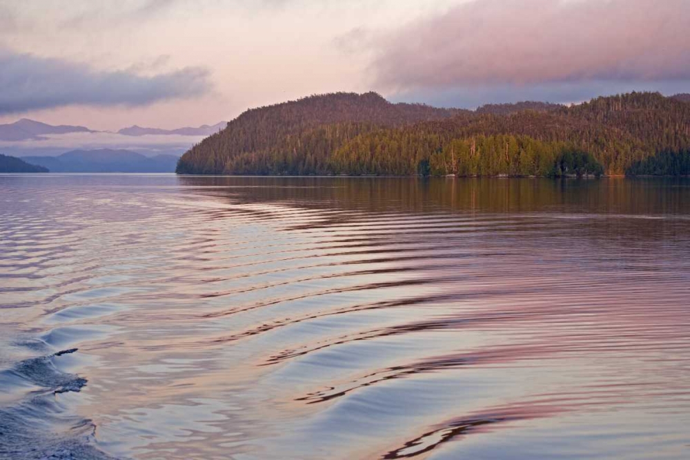 Wall Art Painting id:133187, Name: Canada, BC, Calvert Island Boat wake in water, Artist: Paulson, Don