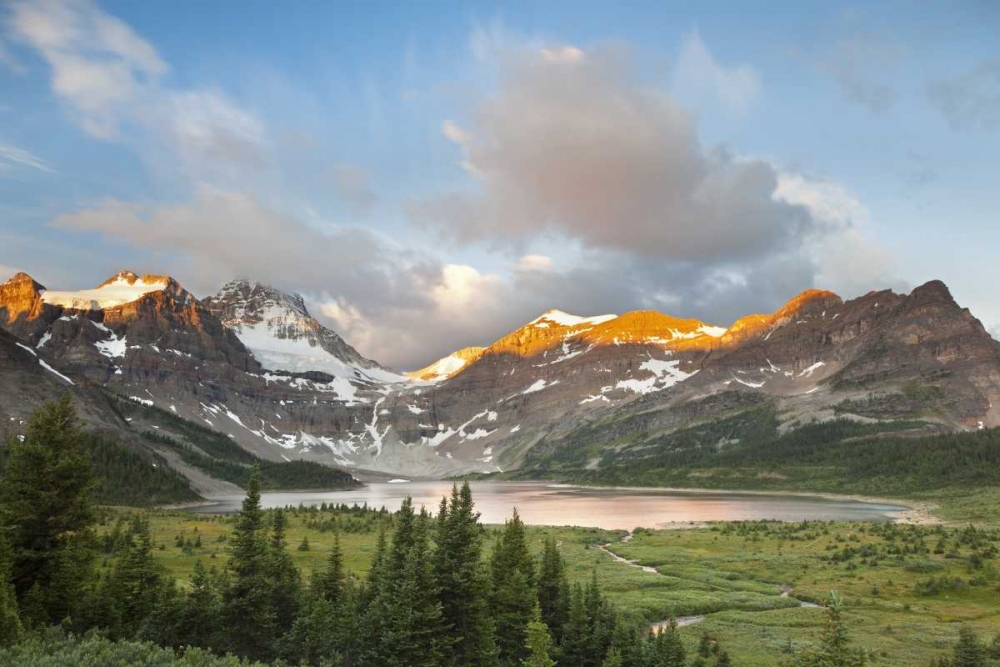 Wall Art Painting id:132230, Name: Canada, BC Sunrise on Magog Lake Meadows, Artist: Paulson, Don