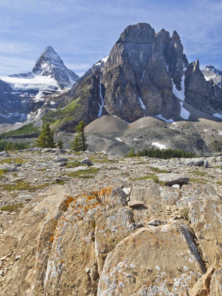 Wall Art Painting id:132971, Name: Canada, BC, Mt Assiniboine and Wedgwood Peak, Artist: Paulson, Don