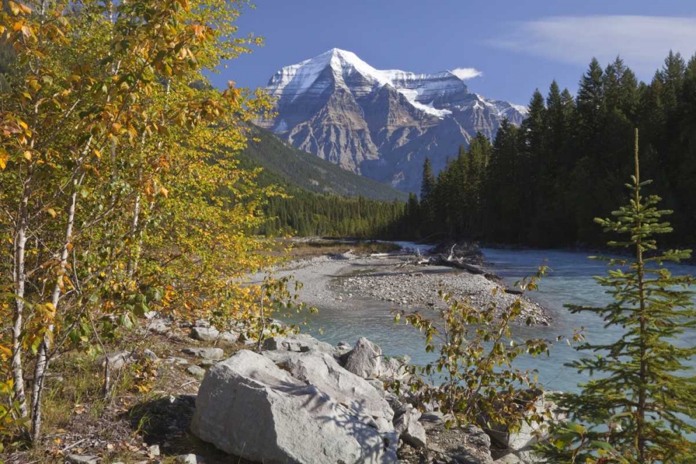 Wall Art Painting id:132965, Name: Canada, BC, Landscape of Mt Robson and stream, Artist: Paulson, Don