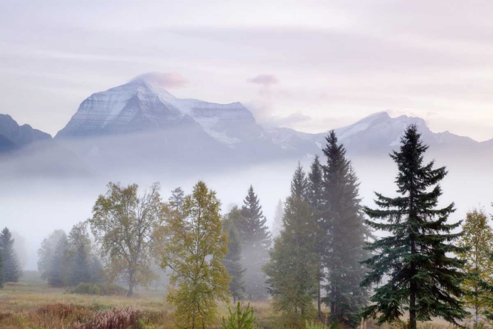 Wall Art Painting id:132398, Name: Canada, BC, Mount Robson PP Foggy sunrise, Artist: Paulson, Don