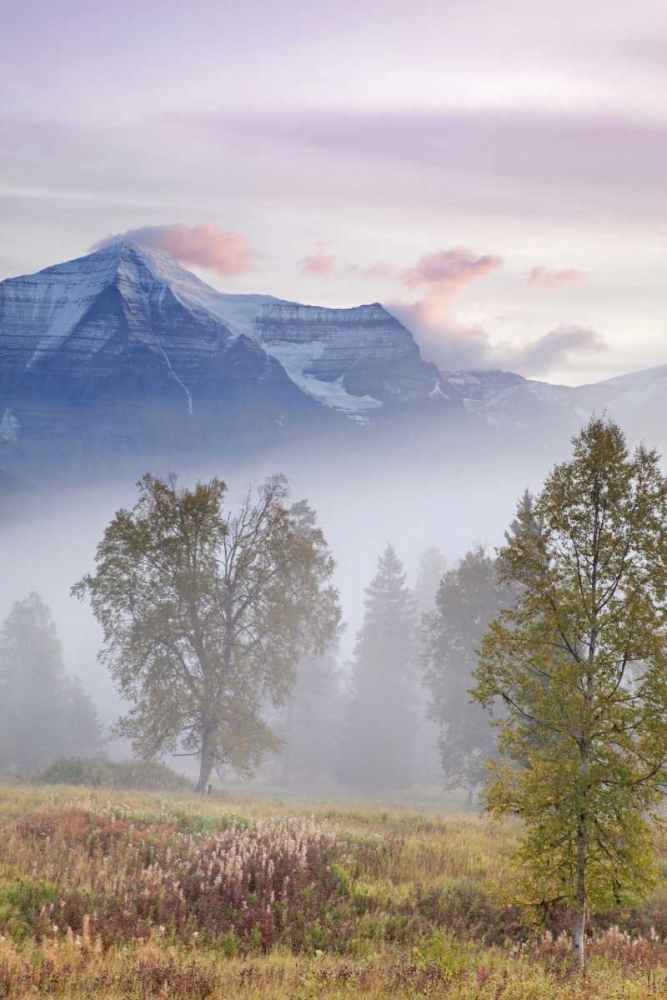 Wall Art Painting id:132399, Name: Canada, BC, Mount Robson PP Foggy sunrise, Artist: Paulson, Don