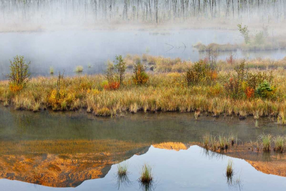 Wall Art Painting id:132219, Name: Canada, BC, Mount Robson PP Lake and fog, Artist: Paulson, Don