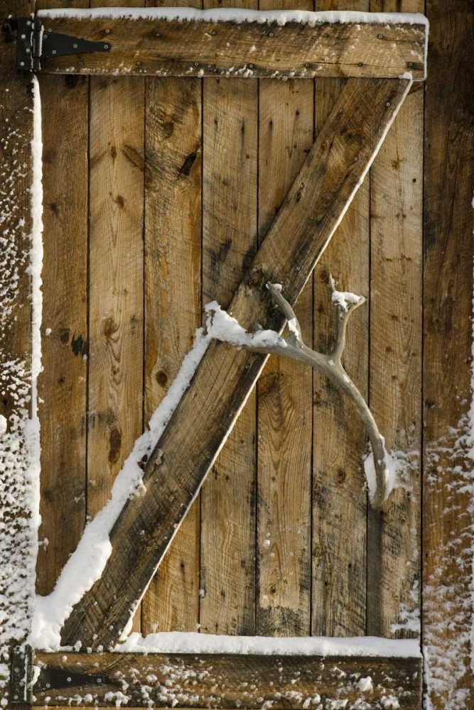 Wall Art Painting id:130156, Name: Canada, Churchill Close up of a wooden door, Artist: Kaveney, Wendy