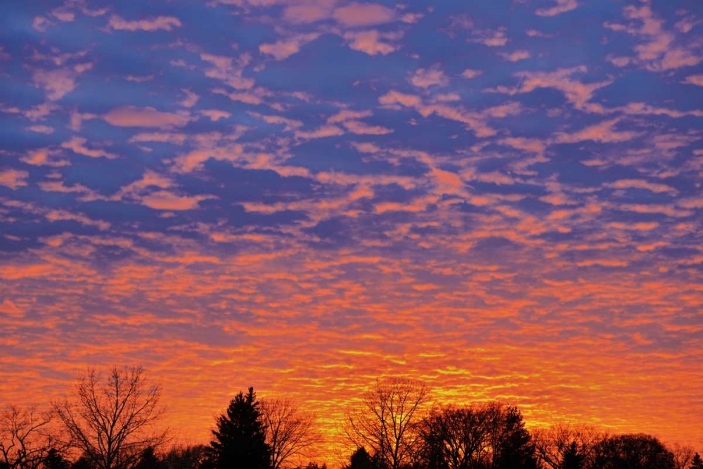 Wall Art Painting id:128575, Name: Canada, Manitoba, Winnipeg Clouds at sunset, Artist: Grandmaison, Mike