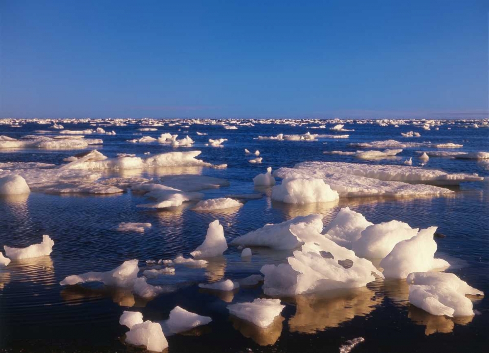 Similar wall art painting: 128518